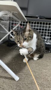 😺怖がり屋さん😺