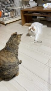 😺大きくなったね！☺️