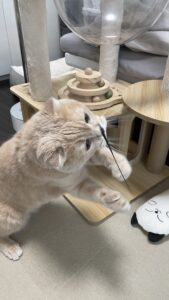 😺お久ぶりだね☺️