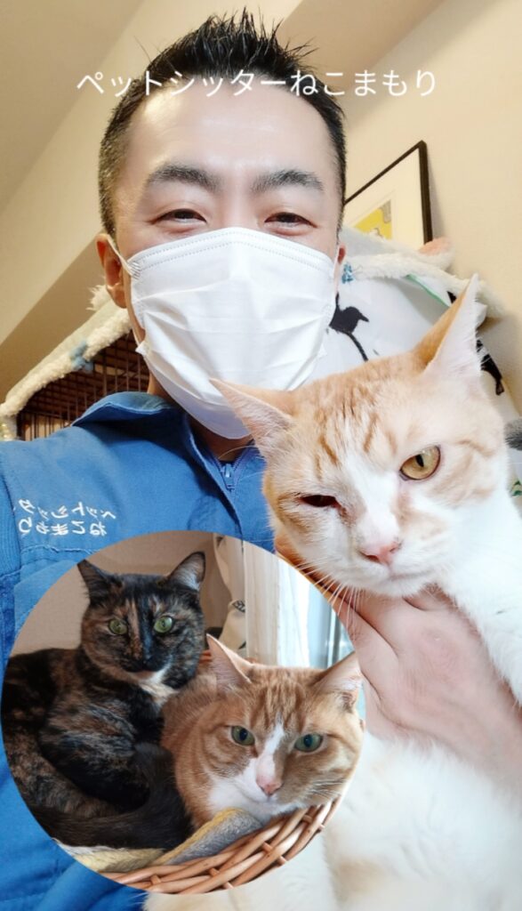 新宿区 お得意様 仲良し3ニャンズ お世話レポート🐈