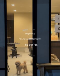 ドッグカフェオープンです!!