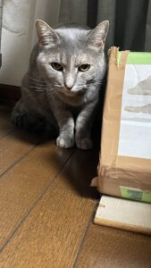 😺怖がりやさん☺️