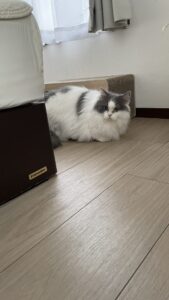 😺初めましてのお友達✨