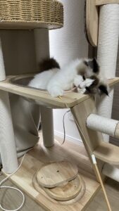 😺初めましてのお友達✨