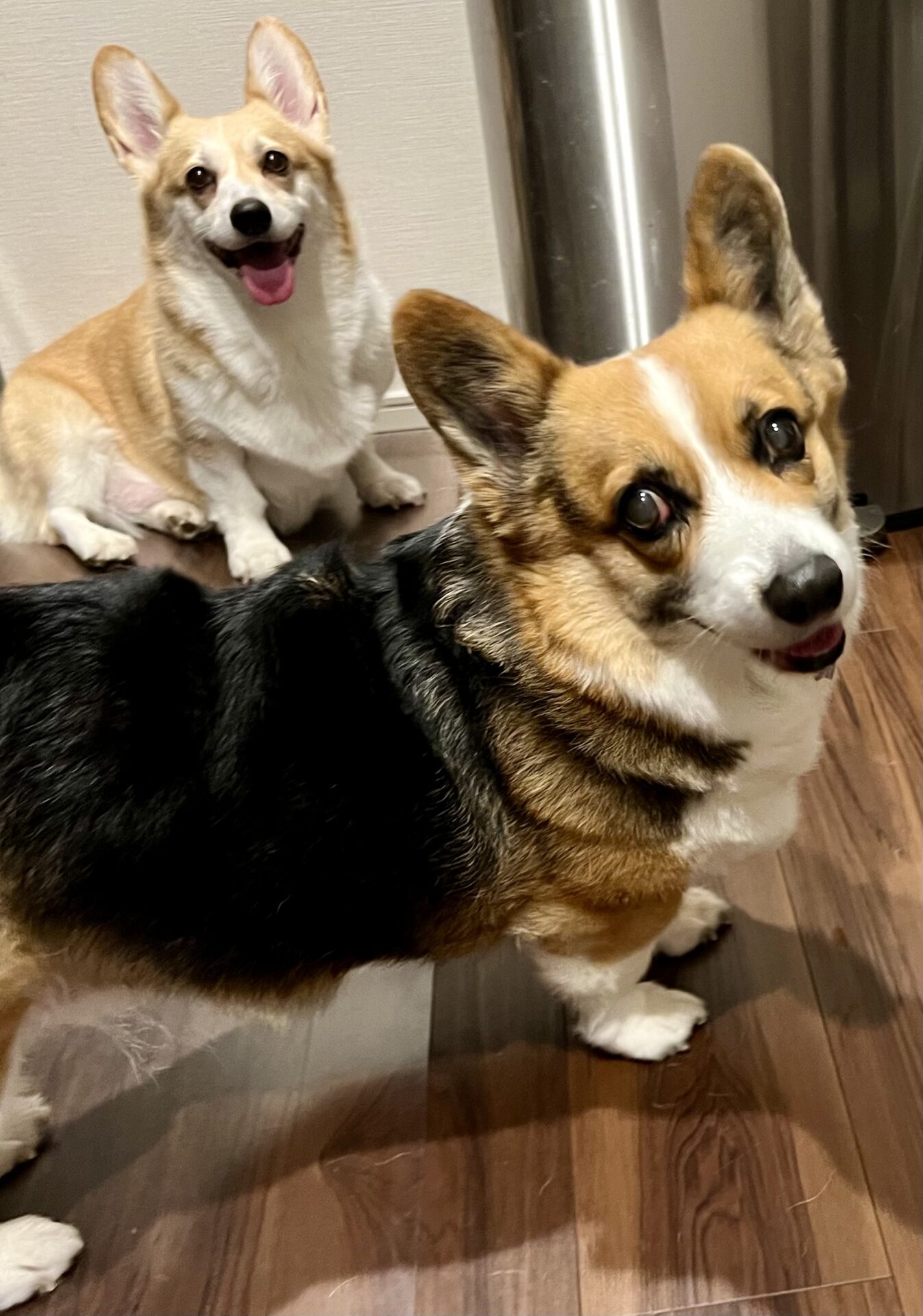 らむちゃん&みむちゃん 通常コース リピートのご依頼♪