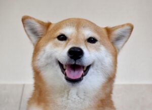 あああ