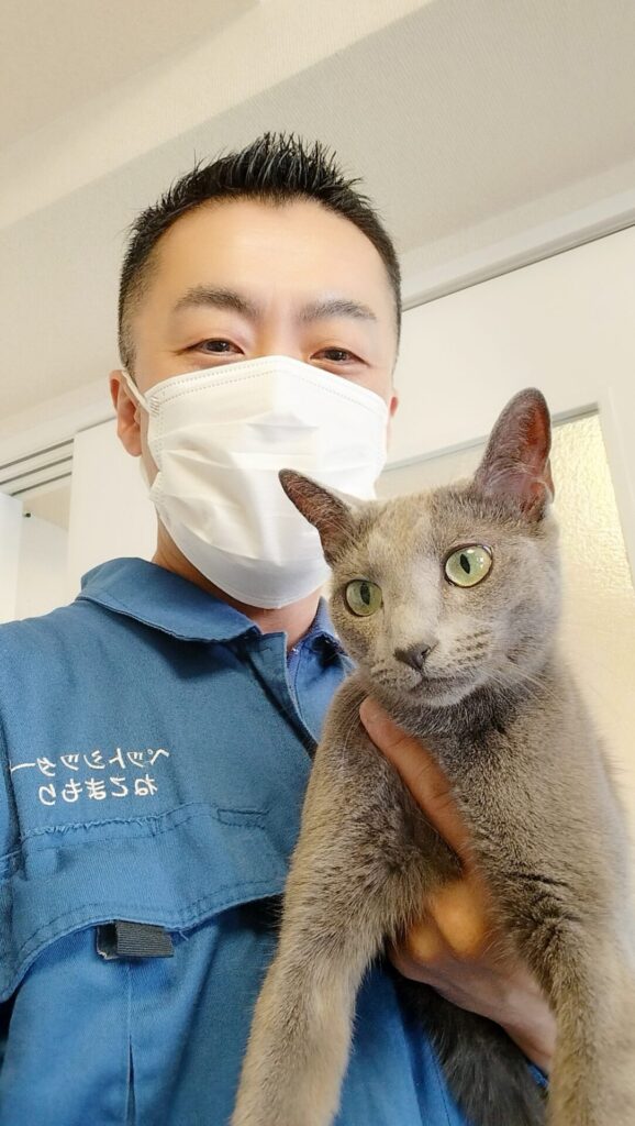 新宿区 お得意様 アクロバット ロシアンブルーくん ソファから落ちてもへっちゃらだよ お世話レポート🐈