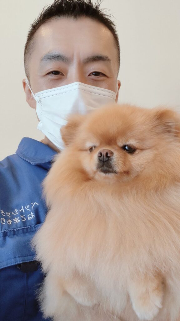 新宿区 お得意様 歯みがき大好きポメちゃん お世話レポート🐶
