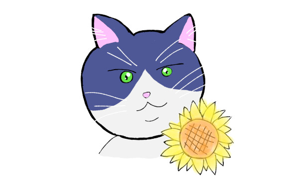 すみれねこシッター