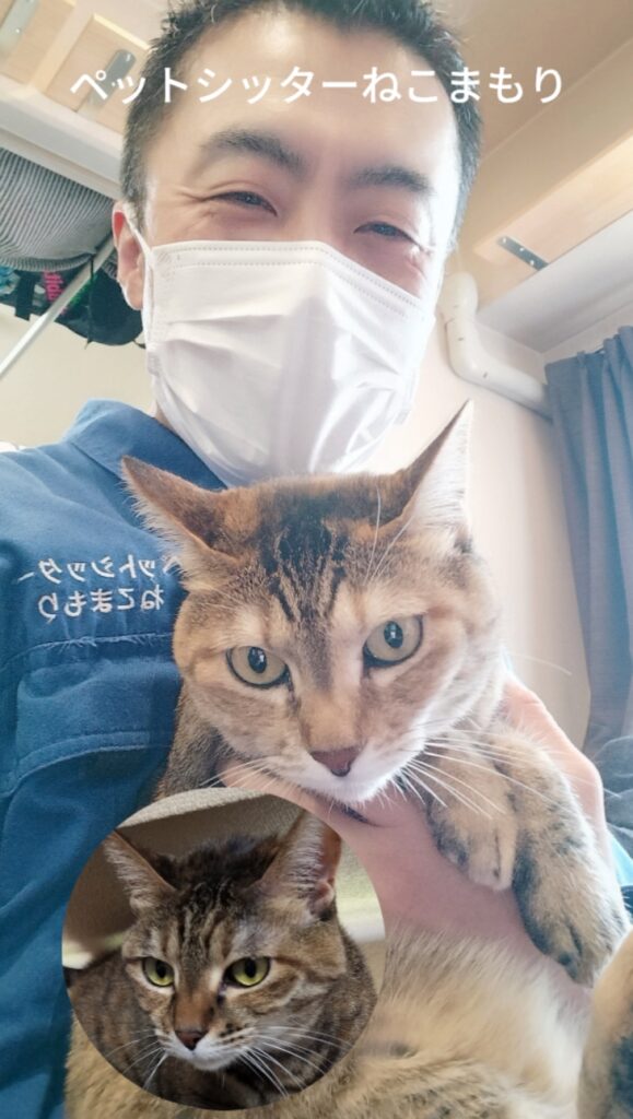 中野区 お得意様 瓜二つ双子ニャンちゃん お世話レポート🐈