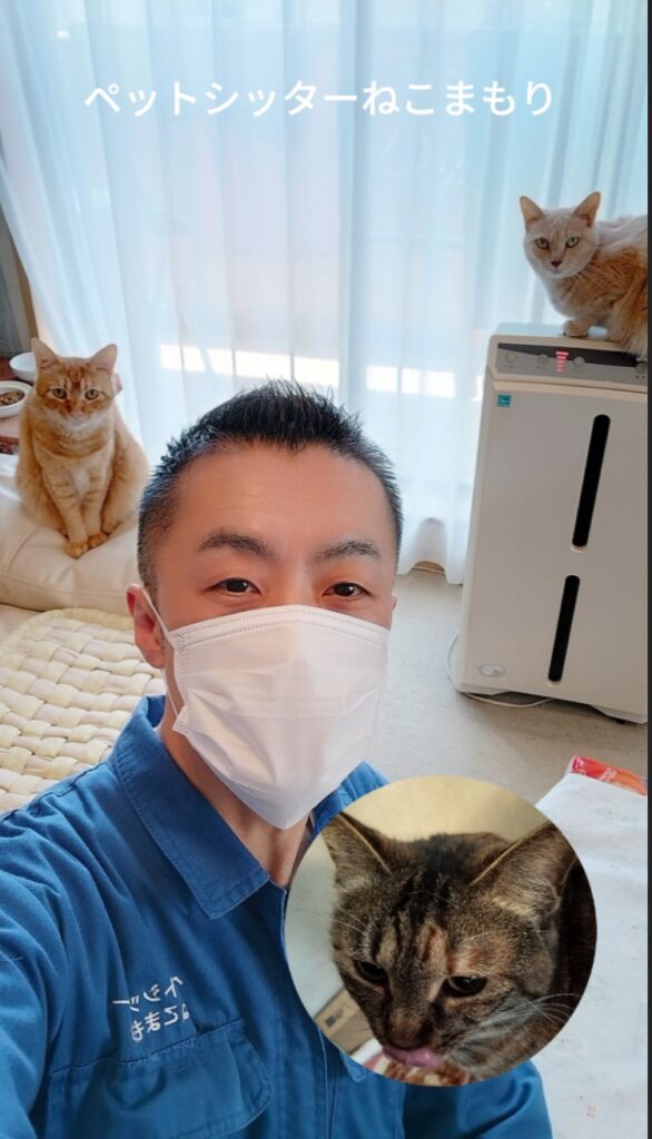 中野区 お得意様 元保護猫3ニャンズ お世話レポート🐈